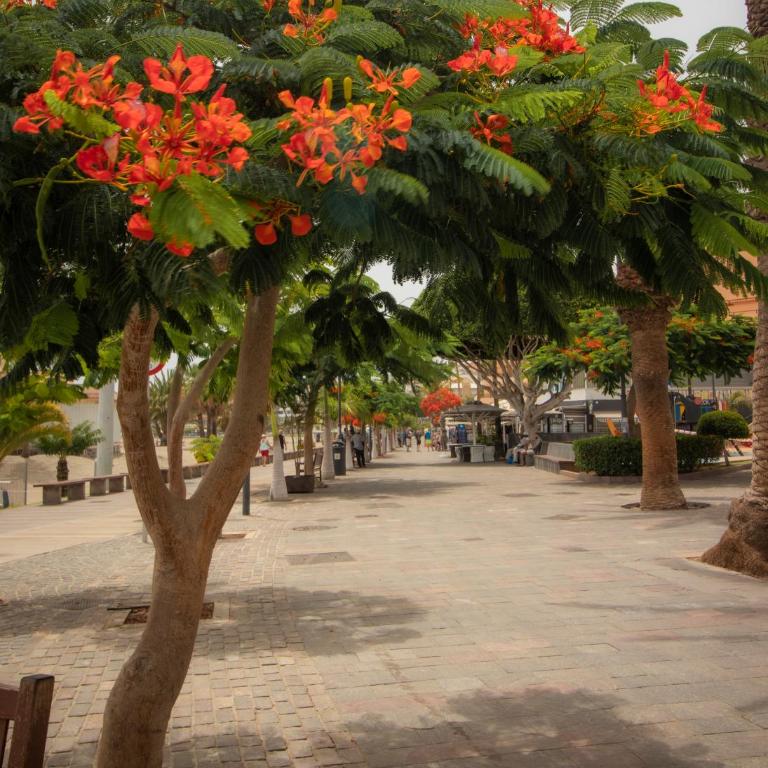 EL CARMEN beach apartment - Apartamento de 1 dormitorio - 36