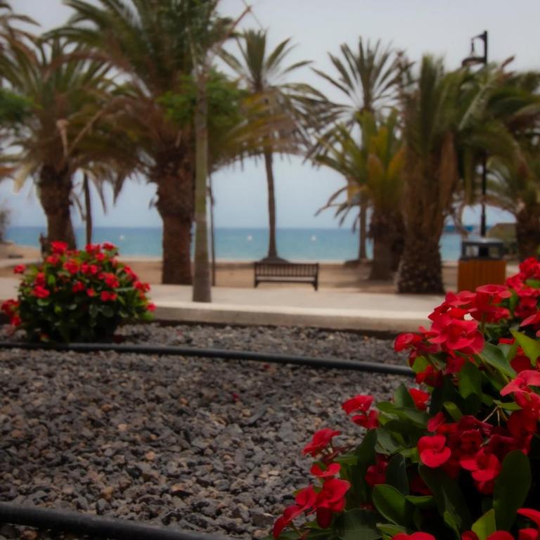 EL CARMEN beach apartment - Apartamento de 1 dormitorio - 9