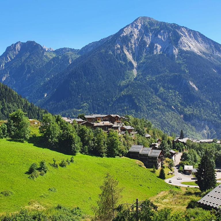 Chalet Solize - Terrasse avec superbe vue - Sauna - Chalet - 6