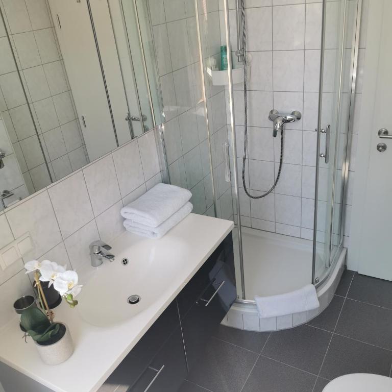 Studios Klagenfurt - Apartment mit Blick auf die Berge - 16
