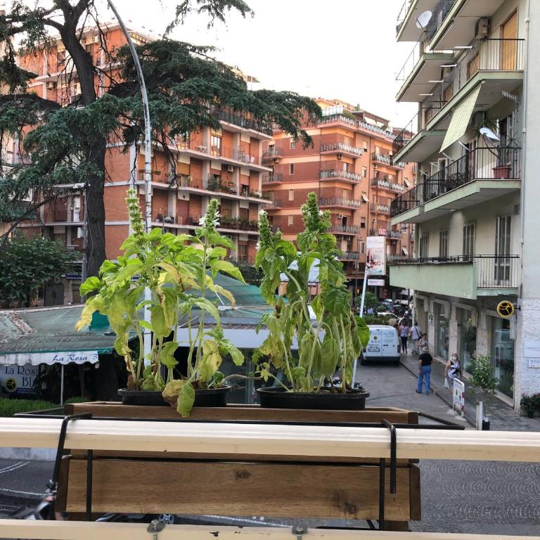 Stabia Holiday House - Casa Vacanze - 60