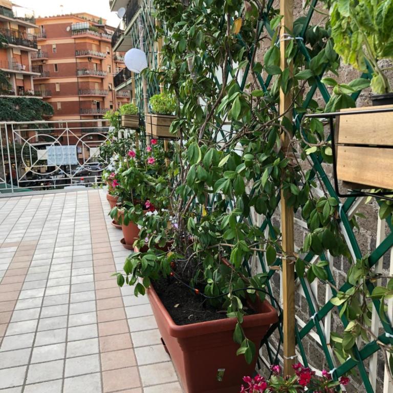 Stabia Holiday House - Casa Vacanze - 50
