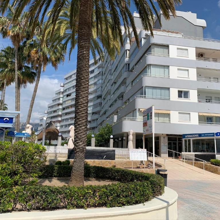 SERVICE APART LAZARO- Apartamentos Aguamarina 49 - Apartamento de 2 dormitorios - 18
