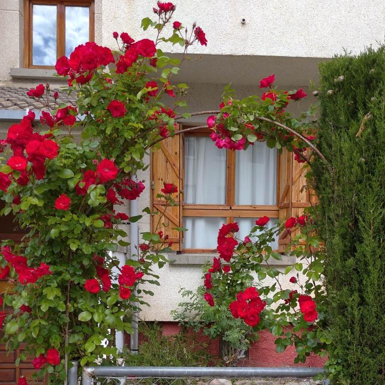 villa cocolo - Appartamento con 1 Camera da Letto - 17