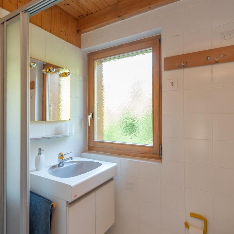 Chalet Domaine de la Famille te Arbaz - Ferienhaus - 19