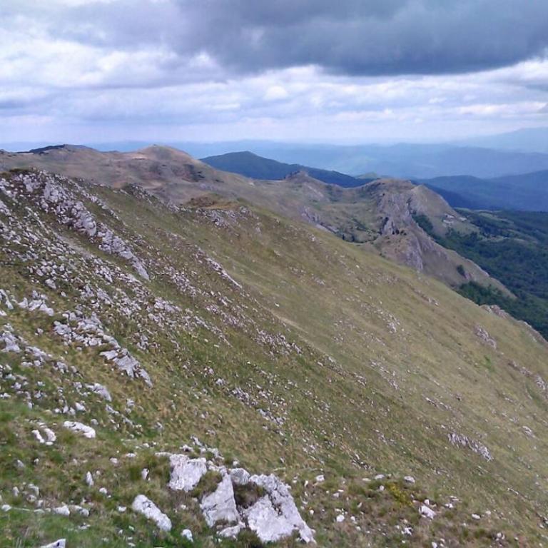 Čarobna Kuća Jahorina - Three-Bedroom House - 20