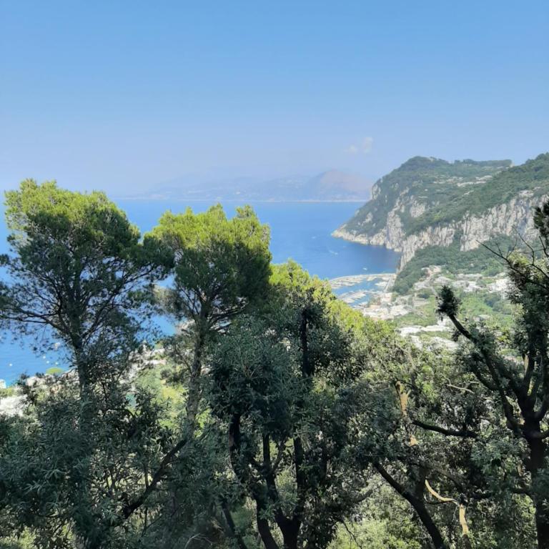 La Casa nel Bosco - Small Double Room - 17