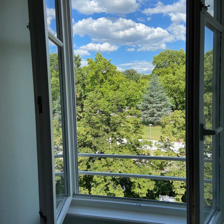 La Résidence de l'Orangerie - Estudio 6 - 2