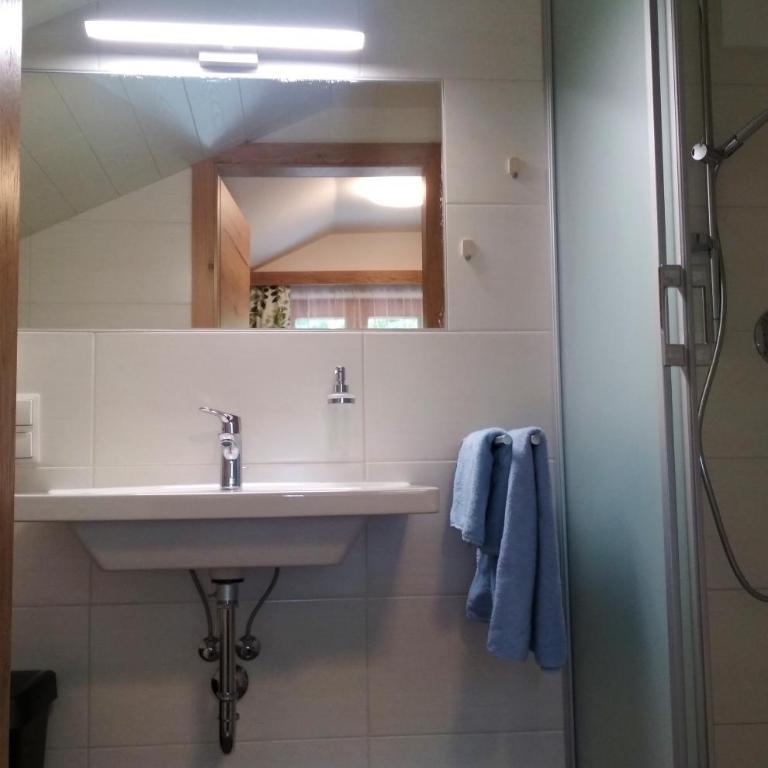 Blonbauer - Einzelzimmer mit Dusche - 1