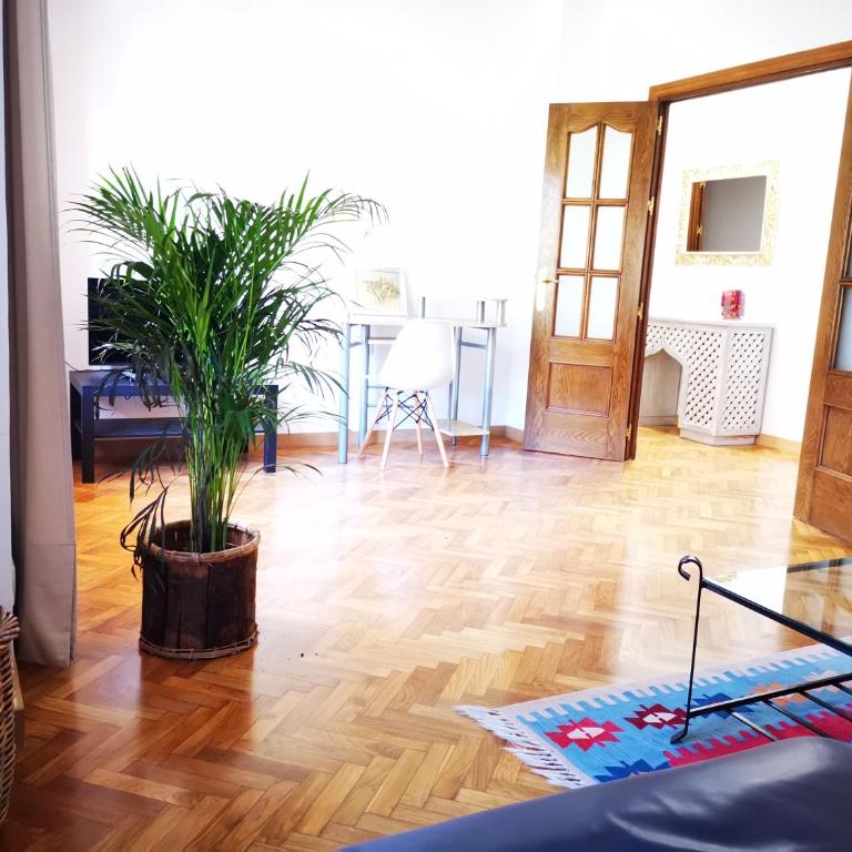 Apartamento bonito y bien ubicado en el Soho de Málaga. - Three-Bedroom Apartment - 6