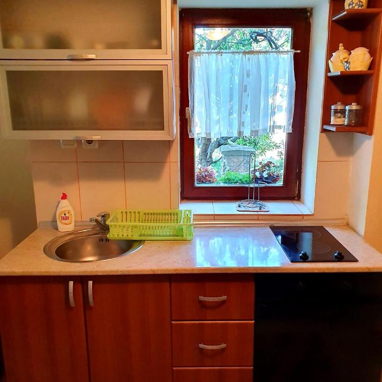 Apartman Sergej 2 - One-Bedroom Apartment - 11