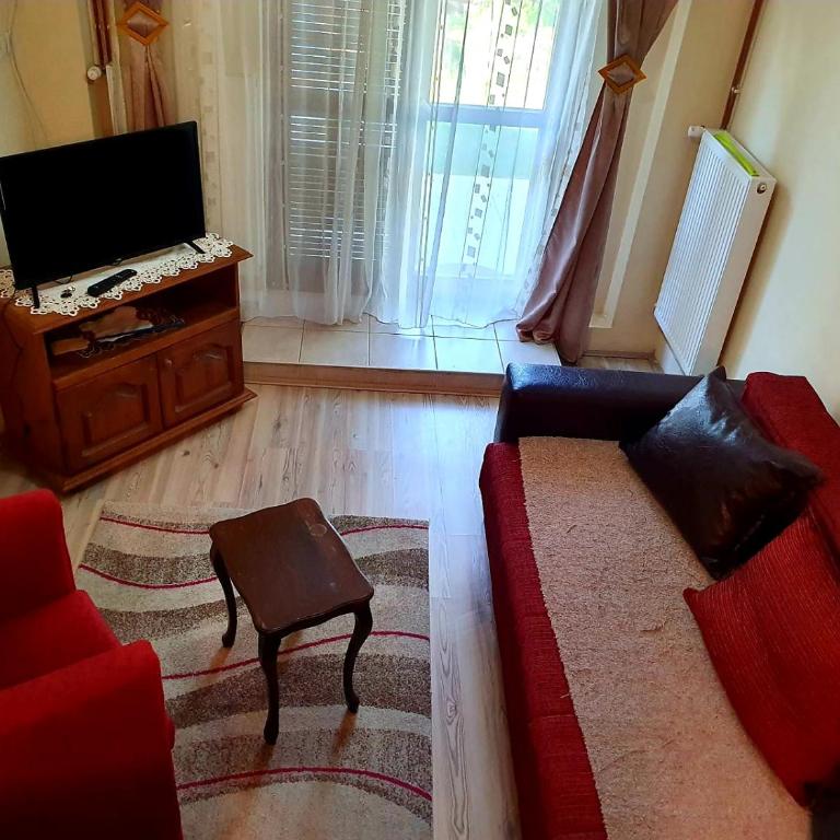 Apartman Sergej 2 - One-Bedroom Apartment - 7
