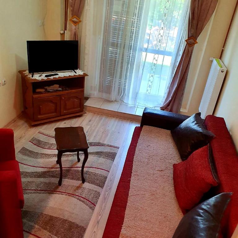 Apartman Sergej 2 - One-Bedroom Apartment - 10