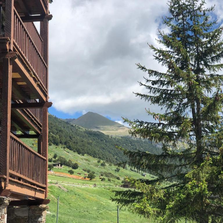 Loft Alpino Vall d'Incles Parking Gratuito - Apartamento de 1 dormitorio - 46