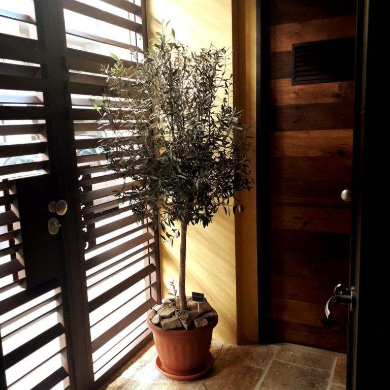 Nuovissimo appartamento lungomare (check out 13:00) - Two-Bedroom House - 6