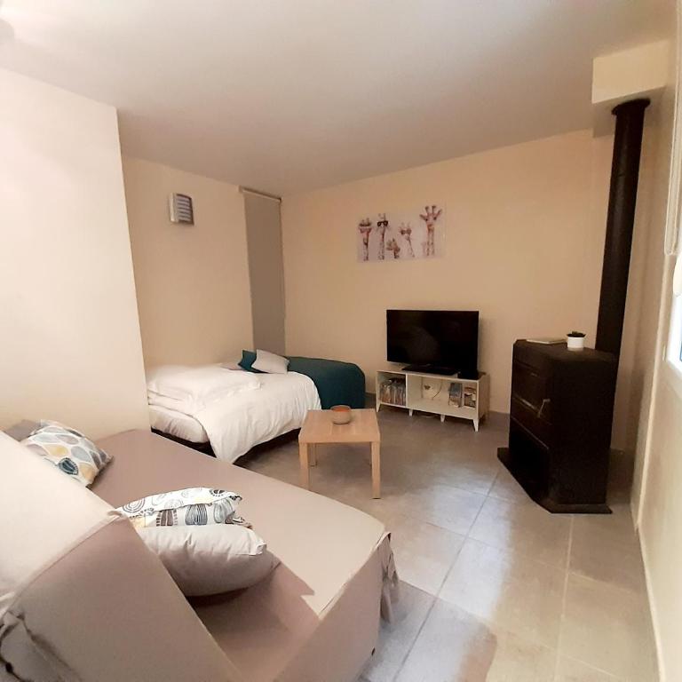 Le Manaïrou - Appartement 1 Chambre - 4