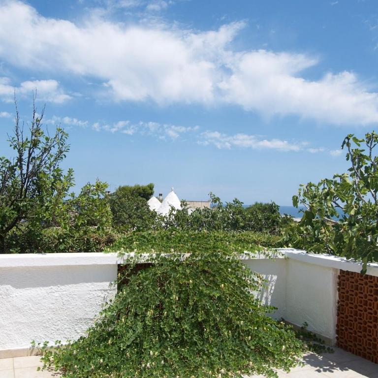 Eagle's Nest - Casa Vacanze - 37