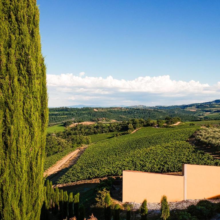 Il Leccio - Casa Toscana San Gimignano - Casa Vacanze - 45