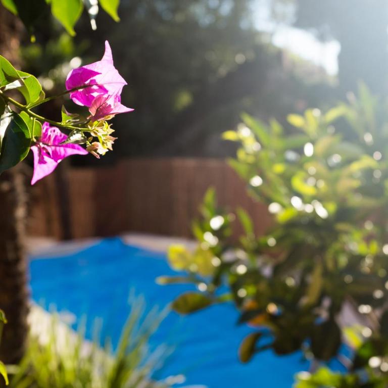 Villa Fiore - Apartamento de 2 dormitorios en la planta baja - 1