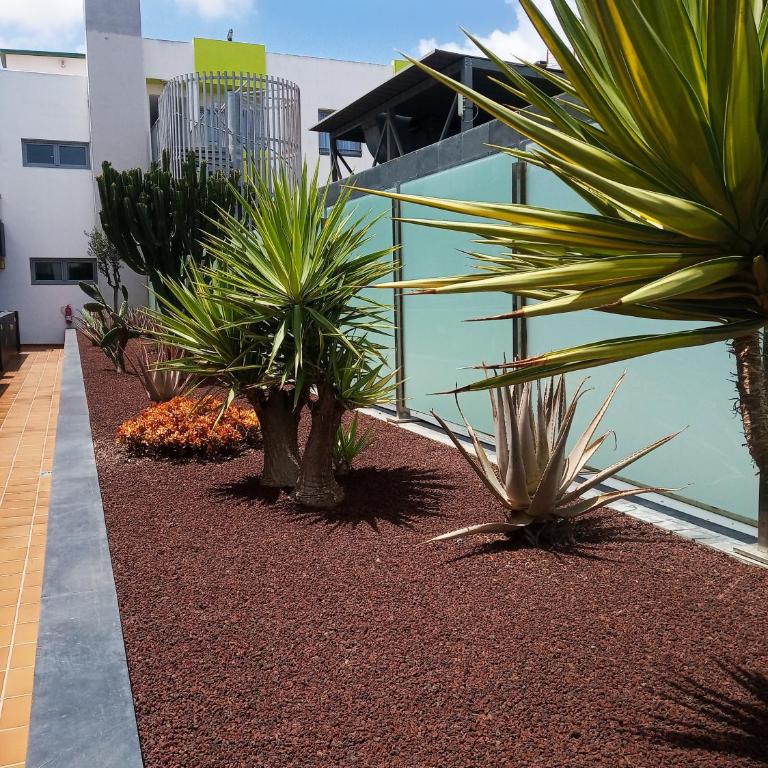 On the beach - Apartamento con vistas al mar - 33