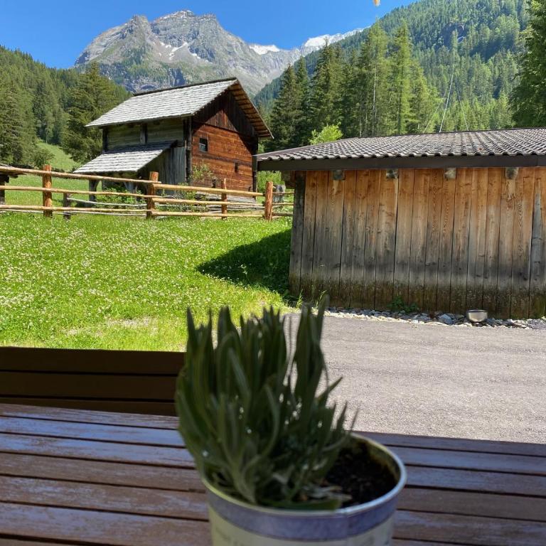 Jausenstation Saege - One-Bedroom Apartment with Balcony - 7