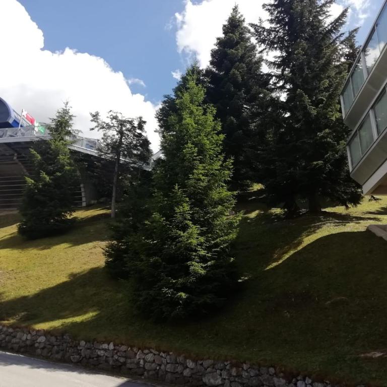 Vetrate sul bosco - Apartment mit 1 Schlafzimmer - 9