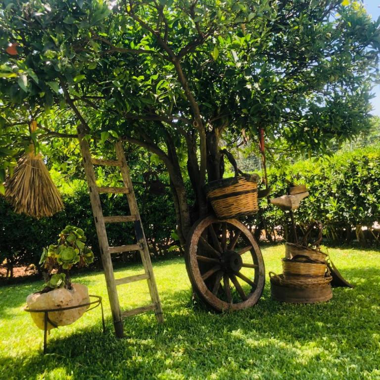 Sicilian Garden - Appartamento con 1 Camera da Letto - 4