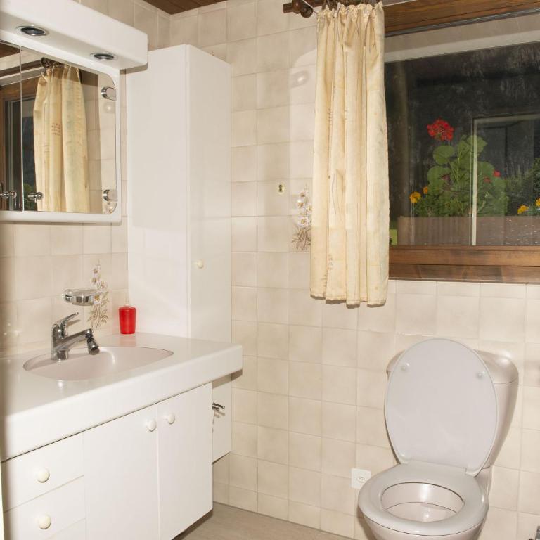 Lauterbrunnen Staubbach Beautiful Waterfall Apartment - Apartment mit 3 Schlafzimmern - 8
