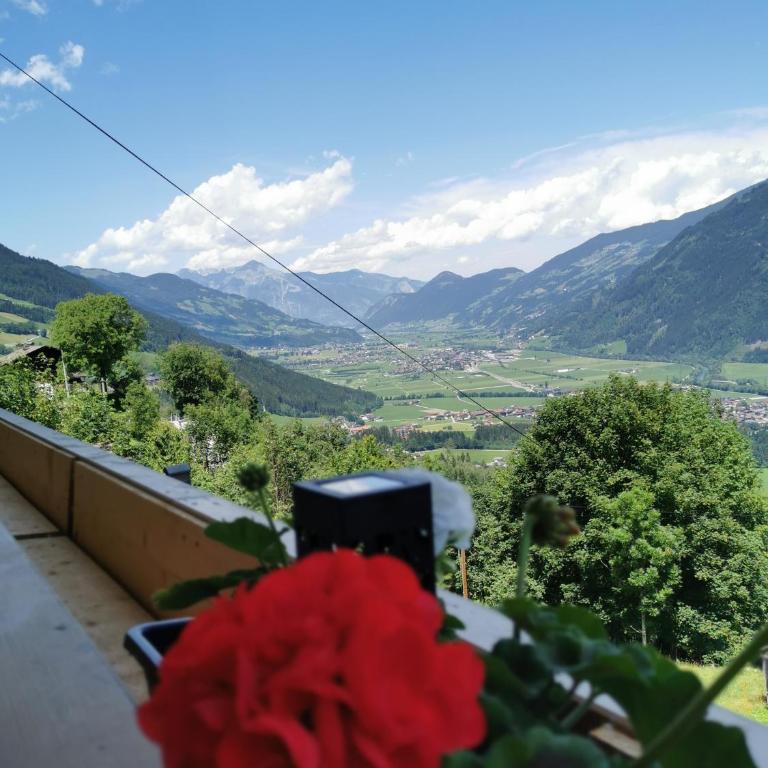 Apart bianca Zillertal - Apartamento de 2 dormitorios - 25