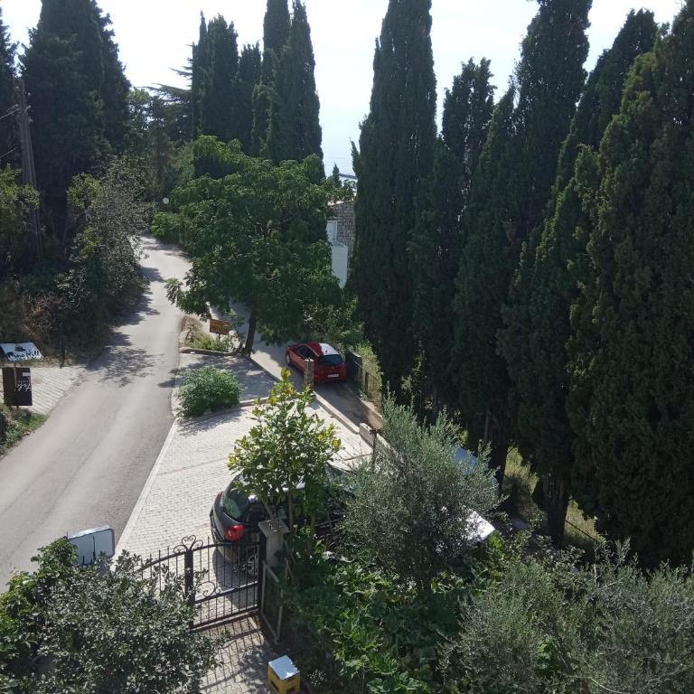 Family House Milic in Ulcinj - Standard Apartment - 7