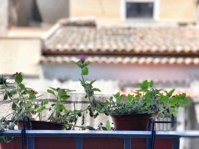 Old Catania Terrace - Two-Bedroom Apartment - 9