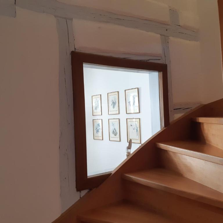 Margot - hyper centre Colmar - Apartment - 16