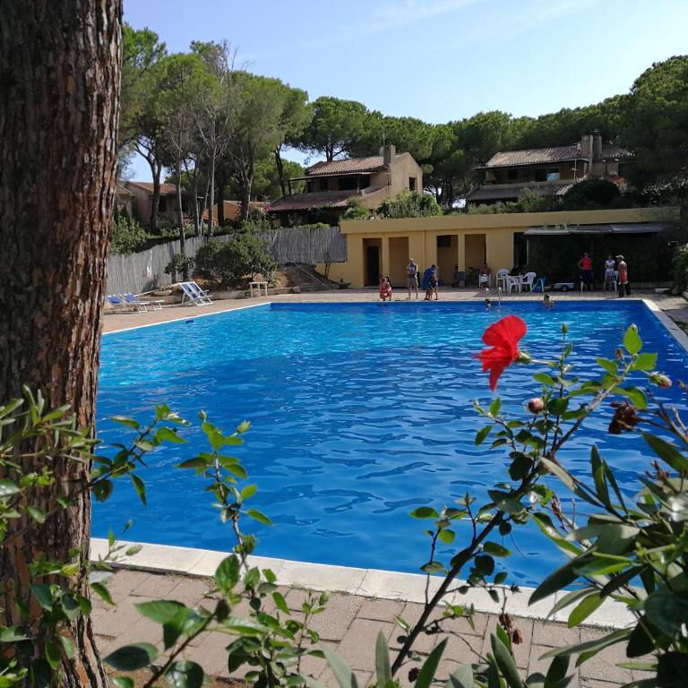 Deliziosa villetta sul mare - Appartamento con 2 Camere da Letto - 49