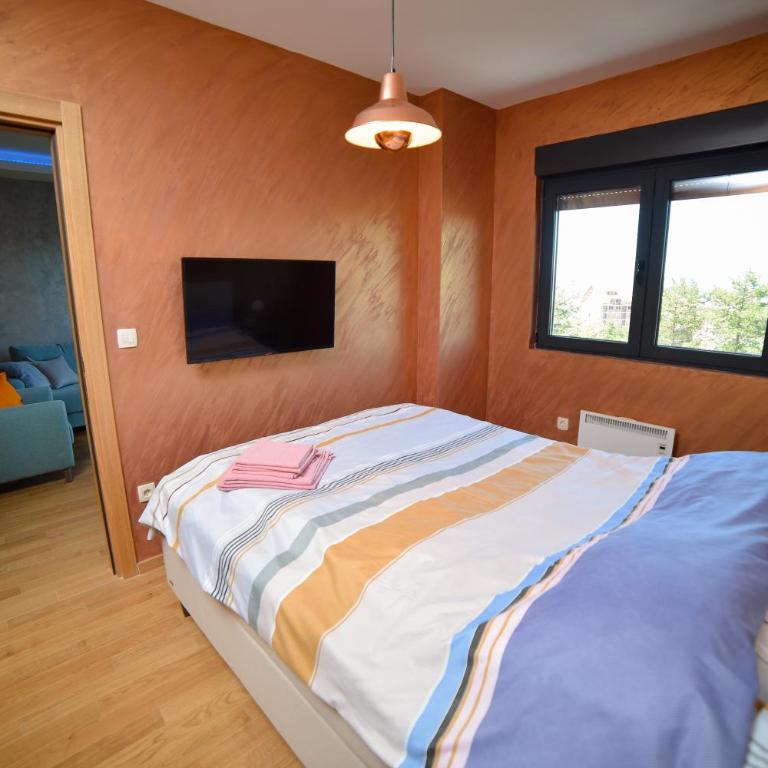 Apartman Obradovic - Apartman sa 1 Spavaćom Sobom - 15