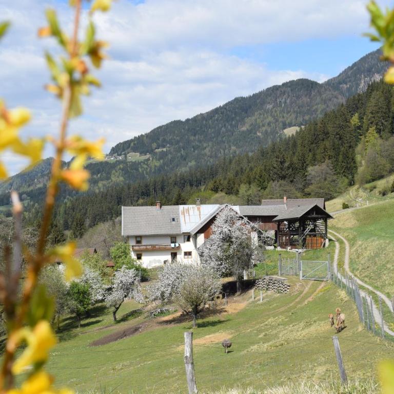 Ferienwohnung Wieserberg - Apartment mit 2 Schlafzimmern - 18