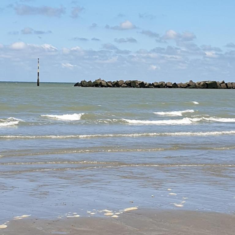 appartement malo les bains plage - Appartement 1 Chambre - 8