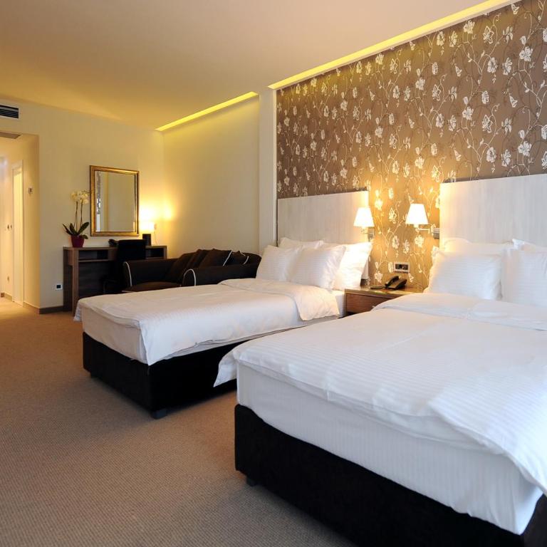 Hotel 1000 Ruza - Superior Dvokrevetna Soba sa Bračnim Krevetom - 3