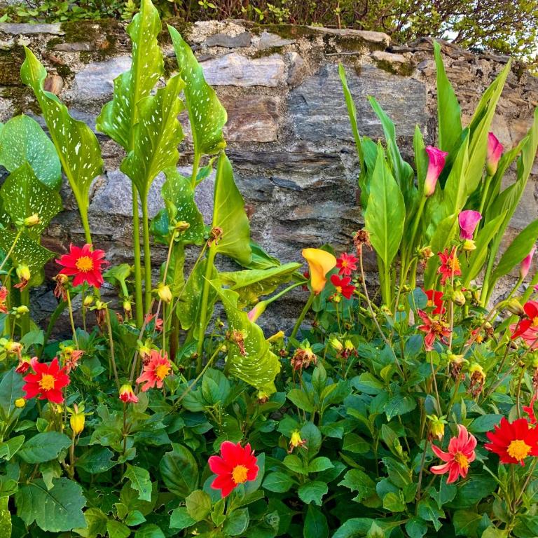 Il Granaio - Historic Molino Maufet Watermill - Lake Como - Casa con Vista Giardino - 9
