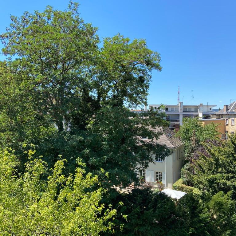 La Résidence de l'Orangerie - Estudio 5 - 1