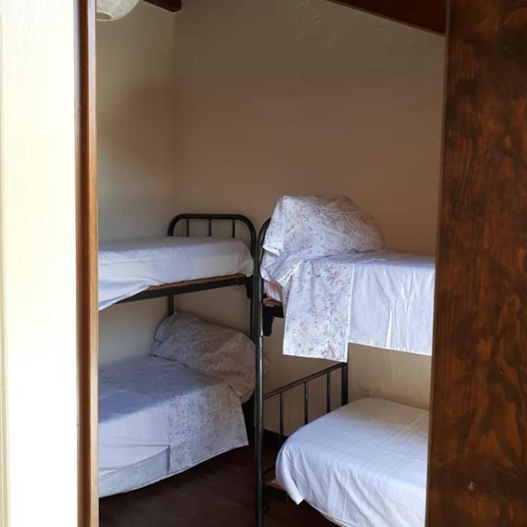 Albergue A'Noguera - Bed in 4-Bed Dormitory Room - 3