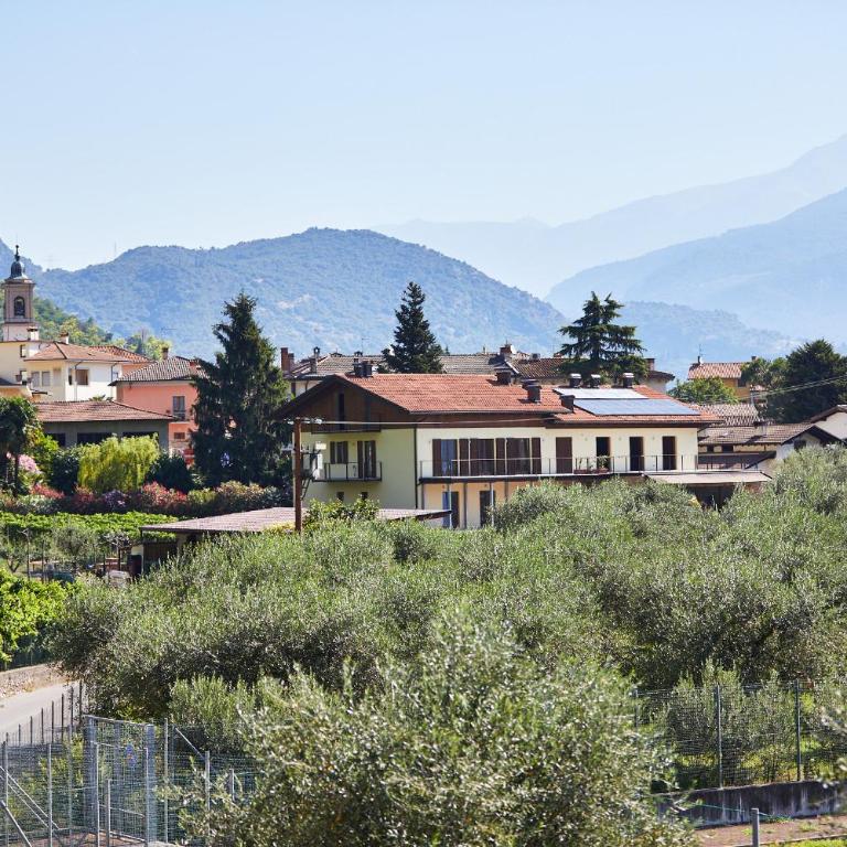 Agriturismo De Bas - Camera Doppia con Letti Singoli - 1