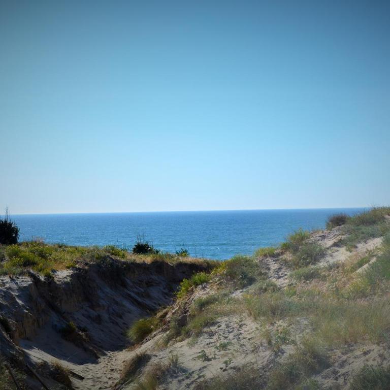 Bel appart T3 ,100 m de l’océan , centre ville - Apartamento de 2 dormitorios - 6
