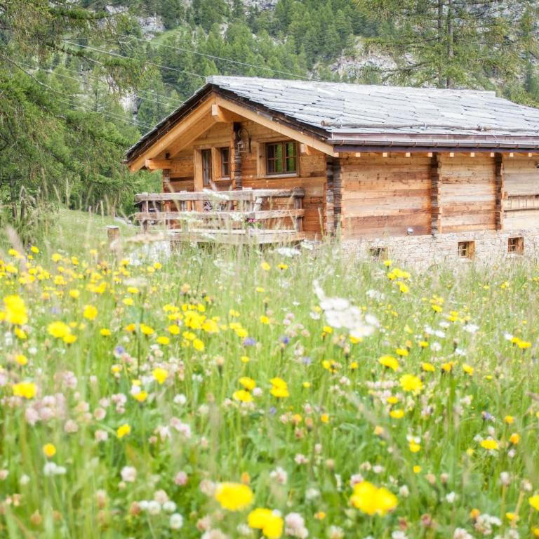 Mountain Chalet 4 You only for 2, private wellness, for a romantic honeymoon - Superior Chalet - 22