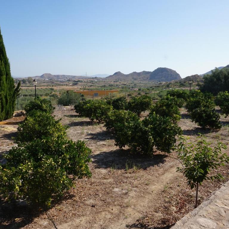 Cortijo del Aguila - Villa - 54