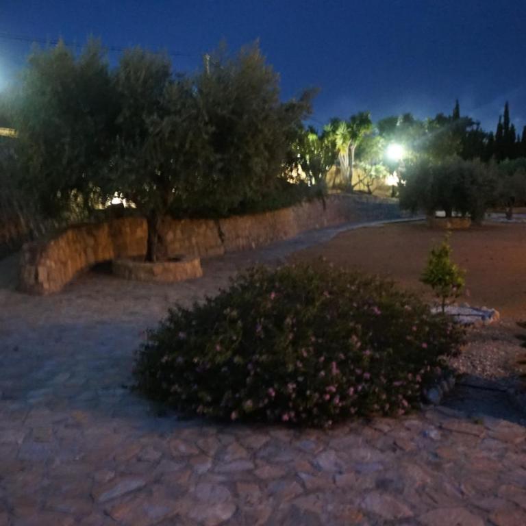 Cortijo del Aguila - Villa - 61