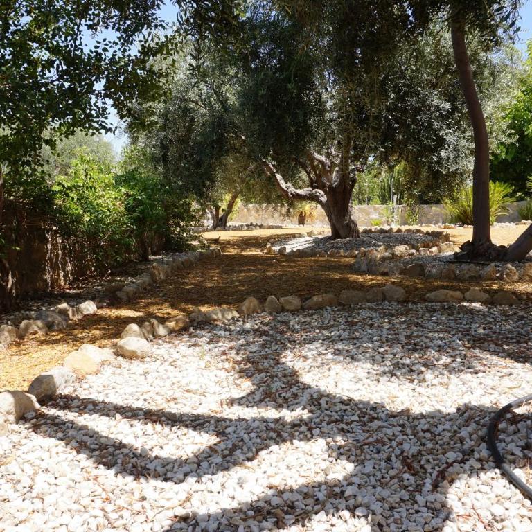 Cortijo del Aguila - Villa - 47