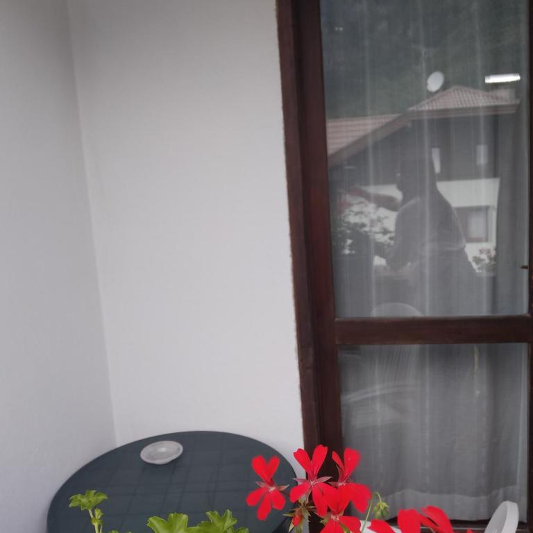 Hotel Orso Grigio - Camera Singola - 3