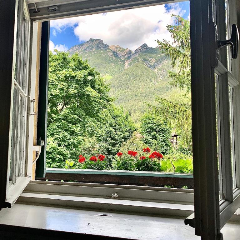 Gästehaus Hohe Tannen - Doppelzimmer - 15