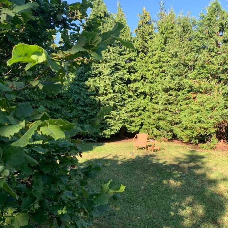 Planinska kuća sa dvorištem - Kuća sa 3 Spavaće Sobe - 32