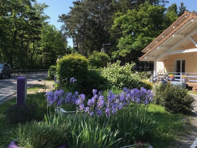 Les Marmottes - Chalet 3 Chambres - 2
